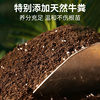 营养土养花通用专用种菜土壤种植土花卉绿萝土多肉家用种花泥炭土