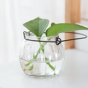 水培玻璃瓶南瓜插花小吊瓶送铁环绿植花卉吊瓶盆吊盆桌面花器花瓶