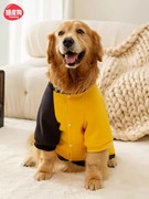 大狗狗衣服秋冬款拉布拉多，金毛柴犬萨摩耶，中型大型犬宠物冬季卫衣