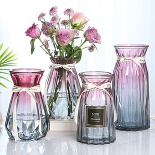北欧创意透明玻璃花瓶，水培绿萝植物干花，鲜花插花瓶客厅装饰摆件