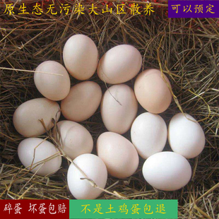 正宗土鸡蛋散养新鲜有机初生蛋笨鸡蛋草鸡蛋月子纯天然30枚柴鸡蛋