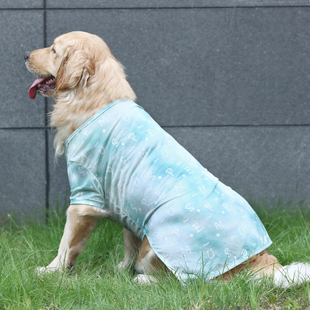 狗狗衣服夏季薄款大狗拉布拉多萨摩耶边牧中型大型犬夏天金毛背心