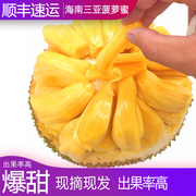 海南菠萝蜜新鲜水果一整个木波萝黄肉干苞当应季大树菠萝
