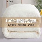 高档新疆棉花被子春秋被纯棉花被褥冬天棉絮垫被棉被冬被加厚保暖