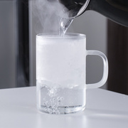 玻璃沏茶杯不锈钢内胆过滤泡茶杯带盖花茶杯耐热玻璃杯套装可加热