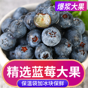 新鲜蓝莓鲜果当季新鲜水果，孕妇蓝梅高山怡颗甜莓整箱大果速发