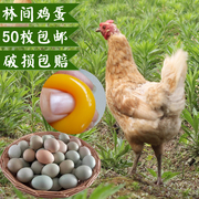土鸡蛋山林鸡蛋农家，草鸡蛋绿壳蛋，柴鸡蛋笨鸡蛋散养50枚