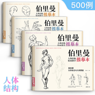 4册伯里曼人体结构教学描摹本，正版速写人物结构，绘画练习教程教材杨建飞主编