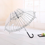 韩国创意阿波罗透明伞长柄清新花边拱形鸟笼伞自动直杆公主雨伞包
