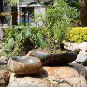 天然鹅卵石花盆鱼缸水培种植创意家庭院，摆件盆景装饰大号石头花盆