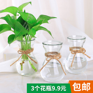 创意简约玻璃花瓶透明水培，绿萝植物花瓶花盆风信子插花瓶客厅摆件