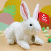 aurora仿真兔子毛绒玩具可爱小白兔，玩偶兔兔公仔娃娃女生儿童礼物