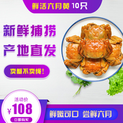 大闸蟹1.2-1.4两满黄六月黄新鲜(黄新鲜)河蟹清水螃蟹鲜活10只水产