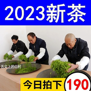 2023新茶湖北五峰芽，毛尖茶叶三峡宜昌茗茶，明前春茶采花绿茶500g