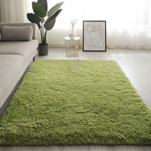 地毯绿色卧室客厅床边毯毛绒地垫2024定制长毛ins房间厚垫子