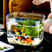 鱼缸客厅小型桌面小鱼缸2022水族箱生态塑料金鱼缸水草乌龟缸
