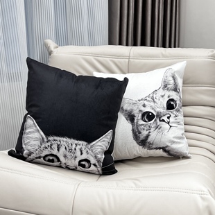 可爱猫咪抱枕 北欧ins靠垫客厅沙发腰枕靠背垫床头靠枕套女生礼物