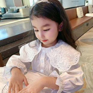女童蕾丝娃娃领衬衫2024春季韩版儿童纯棉，长袖打底衫宝宝衬衣
