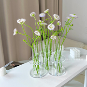创意爱心试管花瓶摆件水培鲜花绿植插花固定器客厅装饰品高级感