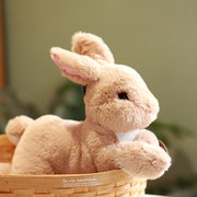 正版仿真趴兔兔公仔小兔子，毛绒玩具床上睡觉抱枕安抚玩偶七夕礼物