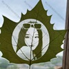 抖音视频直播平安叶干树叶植物干燥处理激光雕刻照片图案叶雕材料