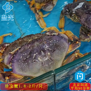 盐光海鲜珍宝蟹1.8-2斤/只面包蟹超大只新鲜海鲜水产螃蟹海蟹