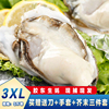 乳山生蚝鲜活特大带箱6斤新鲜海蛎子超大牡蛎海鲜水产