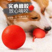 狗狗玩具磨牙橡胶玩具球训狗球实心弹力球宠物球猫球球训练狗球