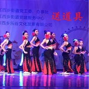 傣族孔雀舞蹈演出服装女民族女儿花黑色儿童大摆修身鱼尾裙艺考服