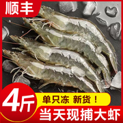 青岛大虾鲜活速冻超大基围虾特大青虾冷冻鲜对虾海虾虾类海鲜水产