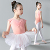 舞蹈服儿童女夏季练功服，幼儿园夏天中国舞，考级连体服芭蕾舞蓬蓬裙
