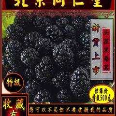 同仁堂黑桑葚干特级野生男肾子桑椹免洗大粒无沙中药材药桑泡酒水