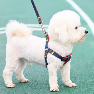 狗狗牵引绳大型中型小型犬狗链子，狗项圈泰迪金毛，遛狗绳子宠物用品