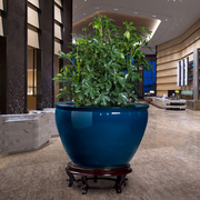 景德镇种树花盆陶瓷，特大号50cm酒店庭院，带托盘绿植大缸盆