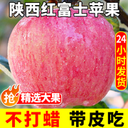 陕西红富士丑苹果水果，新鲜脆甜平果当季整箱10小冰糖心斤