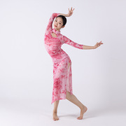 中国风改良旗袍舞蹈服女立领镂空弹力高开叉表演现代古典舞练功服