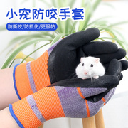 宠物防咬手套养仓鼠金丝熊鼠松小动物防抓清洁卫生一次性透明手套