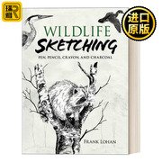 wildlifesketching野生动物，素描钢笔铅笔，蜡笔和木炭画