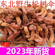 东北特产红蘑野生红蘑菇干货松树伞松蘑菇肉蘑钉菌250g