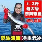 1-3斤超大带鱼大带鱼东海带鱼新鲜鲜活野生鱼海鲜水产鲜活