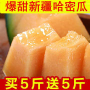 哈密瓜水果新疆  新鲜水果特产网纹蜜瓜带箱10斤多规格。