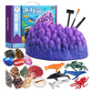 儿童化儿石考古掘宝石海洋珊瑚贝壳宝藏玩具幼园小学生挖六一礼物