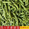 四川胡豆新鲜蚕豆现摘本地罗汉豆带壳生蚕豆米大青豆荚当季蔬菜