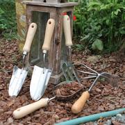园艺工具三装件用套大号家加用厚不锈钢铲子耙子套种花种菜专工l