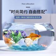 创意水族箱生态圆形玻璃金鱼缸(金鱼缸)大号乌龟，缸迷你小型造景水培花瓶
