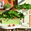 阳台蔬种植箱菜盆神器家庭草莓盆长条种菜盆长方形花槽塑料大花盆