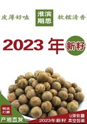 2023年淮滨特产新鲜芡实鸡头米鸡头果带壳新货二青特级真空装