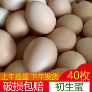 广西土鸡蛋农家散养鸡蛋，新鲜初生蛋鲜鸡蛋，草鸡蛋初产蛋40枚整箱