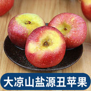 大凉山盐源丑苹果8斤新鲜水果，当季现摘红富士冰糖心苹果整箱