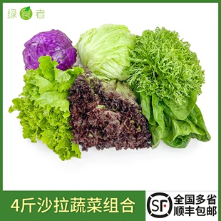 沙拉蔬菜组合4斤新鲜混合蔬果生菜，色拉健身轻食套餐西餐沙拉食材